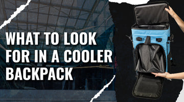 What to look for in a Cooler Backpack